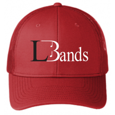 Liberty Band Snapback Hat