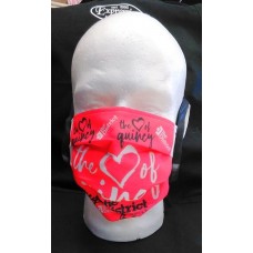 The District - The Heart of Quincy Protective Mask - Fundraiser 